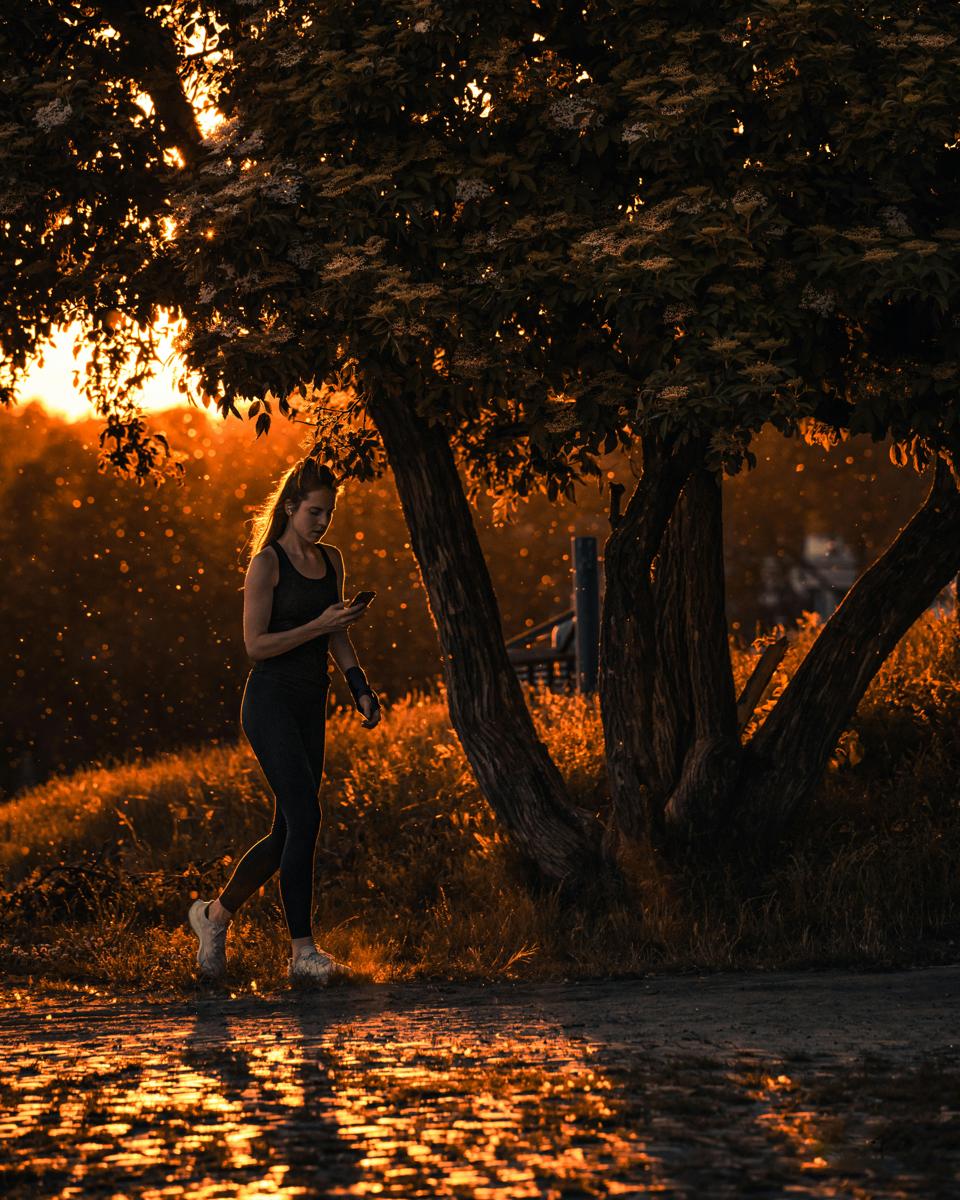 Warsaw Park